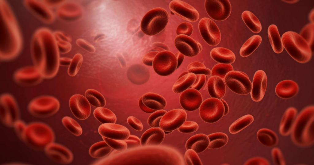 image depiction of blood circulation