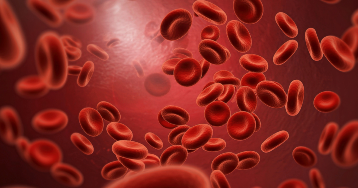 image depiction of blood circulation