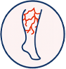 Visible veins icon