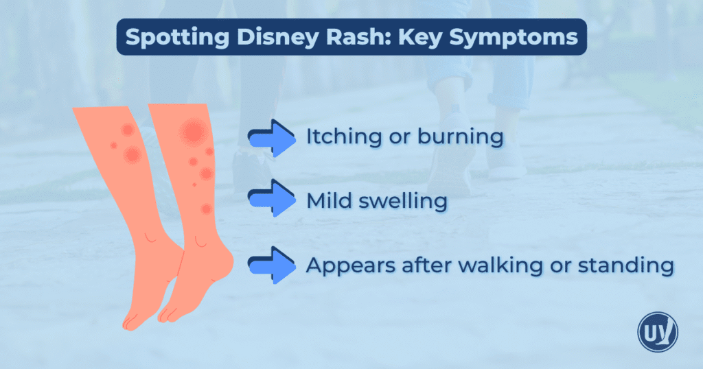 Spottin Disney Rash: Key Symptoms