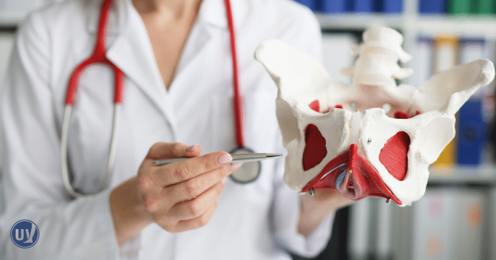Pelvic Congestion Syndrome Urinary Symptoms