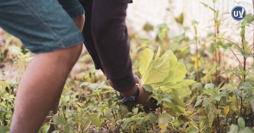 Protecting your knees during gardening