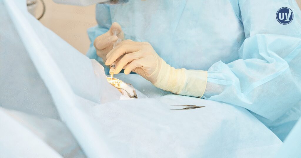 Performing vascular procedures.