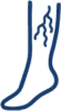 https://unitedveincenters.com/wp-content/uploads/2025/10/insurance_financial_policies_vein-e1761139959880.png