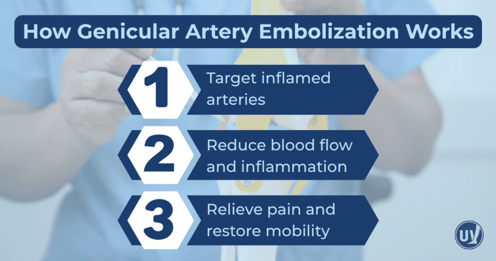 How Genicular Artery Embolization Works