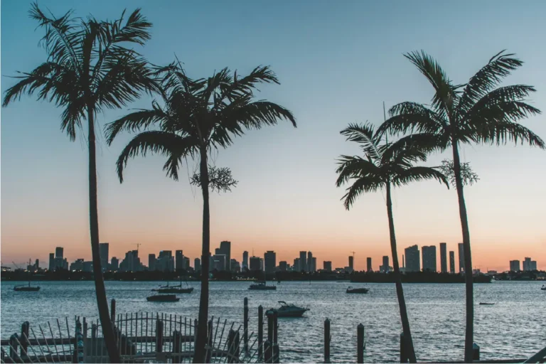 A beautiful Boca Raton skyline overlooking sparking water at sunset flanked by tall tropical palm trees