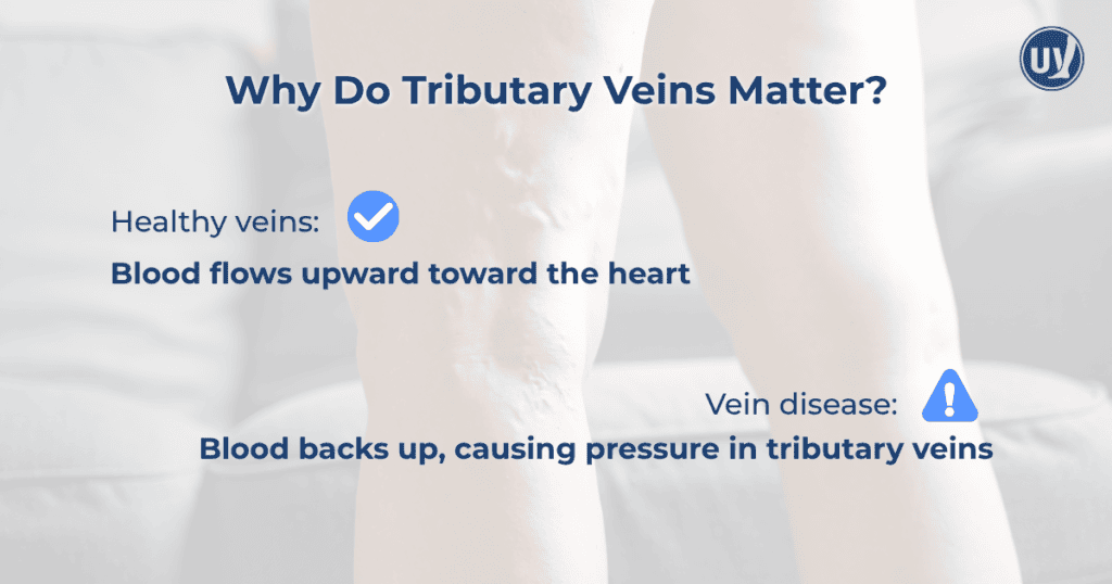 Graphic explaining why Tributary vein matter