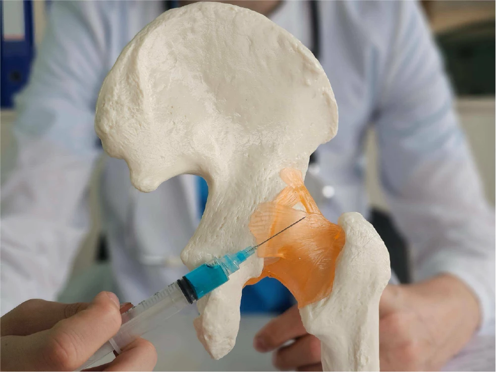 https://unitedveincenters.com/wp-content/uploads/2026/08/hip-pain-treatment-options.webp